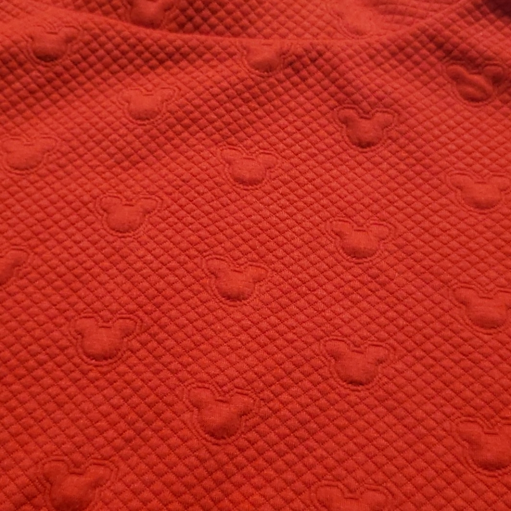 Disney Mackey skirt